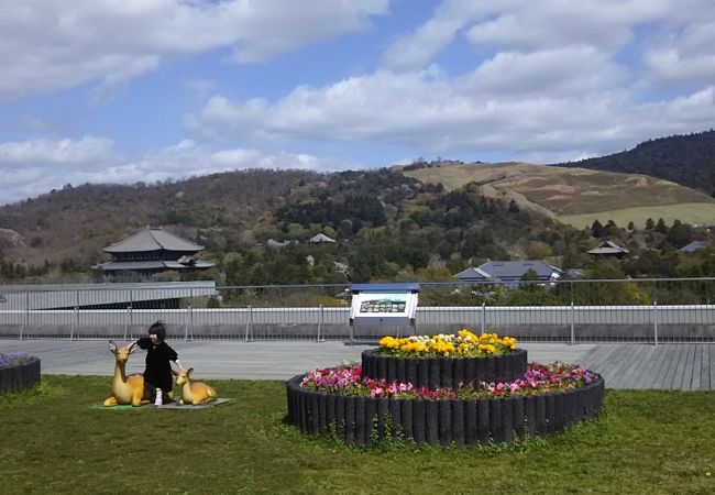 奈良県庁屋上広場 クチコミ アクセス 営業時間 奈良市 フォートラベル