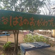 子供たちが自由に遊べる公園