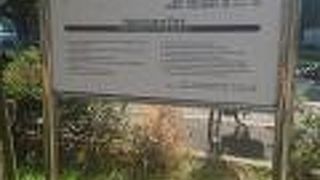 広々とした芝生広場