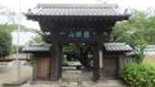 桜の大木とソテツが印象的です