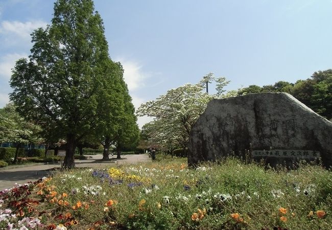 山崎公園 せせらぎ菖蒲園 クチコミ アクセス 営業時間 新座 朝霞 和光 志木 フォートラベル 山崎公園 せせらぎ菖蒲園 クチコミ アクセス 営業時間 新座 朝霞 和光 志木 フォートラベル