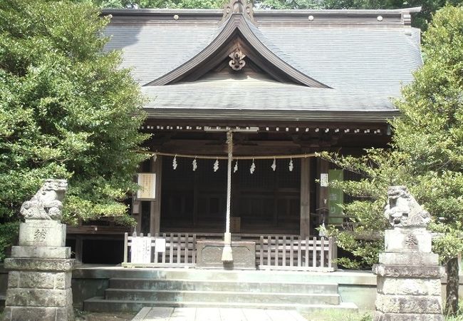 豪族の居城跡に建つ神社は、興味深いものが点在