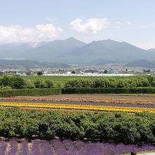 テラス席から見える