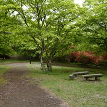 所々にベンチもあり、一息つけます。