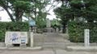 お生まれはココだったのね