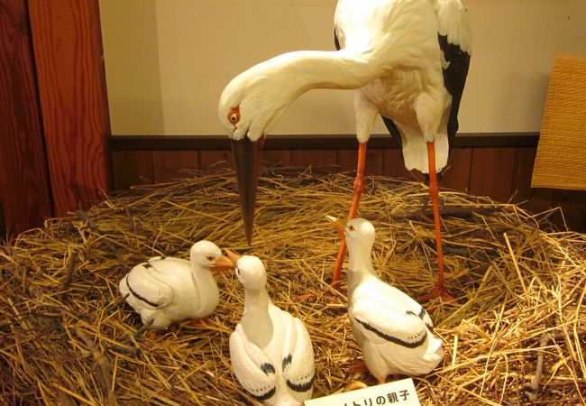 コウノトリ文化館 クチコミ アクセス 営業時間 豊岡 フォートラベル