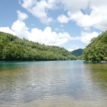 透き通った水と、木々の緑をみれば心も癒されます…