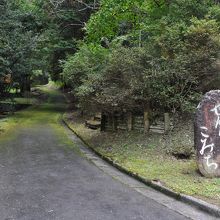 せんりゅうのこみちも