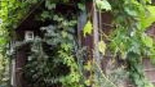 古民家をリノベーションしたようなお店