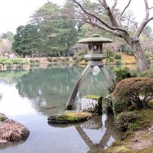 １月でしたが雪はありませんでした。