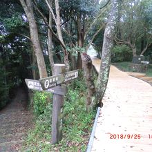 こんな道を帰りました