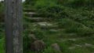 メルヘン街道の途中