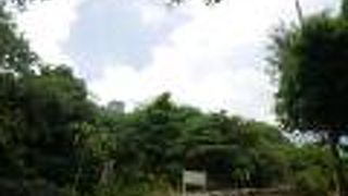 島一番の眺めだったンブフル展望台