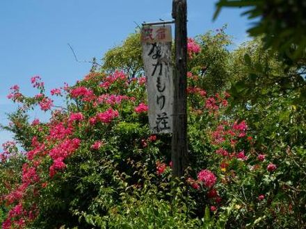 民宿 仲盛荘 写真