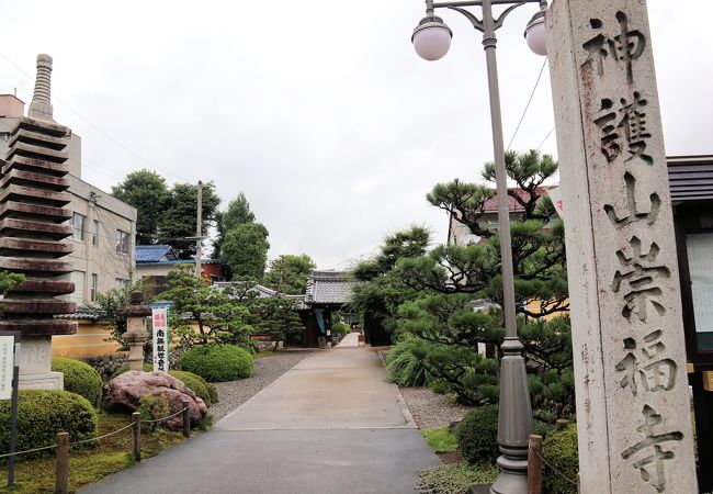 崇福寺(岐阜県岐阜市) クチコミ・アクセス・営業時間｜岐阜市