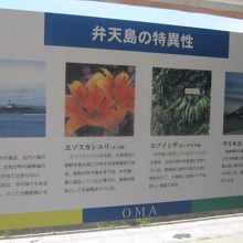 大間崎の沖にある弁天島の特異性に関する案内板の様子