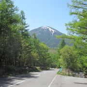 子供からお年寄りまで自然を満喫できます