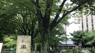 バラエティに富んだ公園