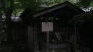 7月は紫陽花の花が見事でした