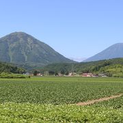 国道４５３号線から美しく見えます