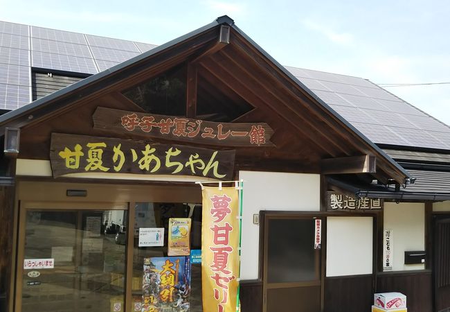 有名な甘夏ゼリーのお店