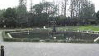 プールも始まっています