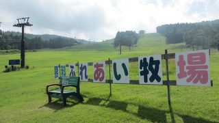 小動物と触れ合えます