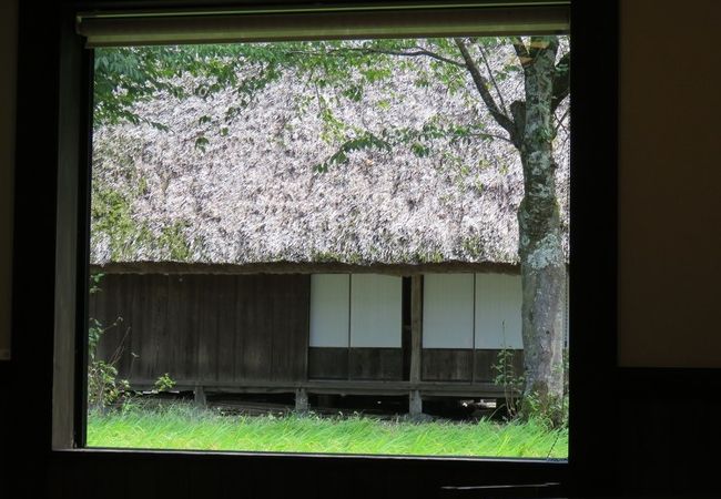 晩夏の１日。アイスコーヒーでほっとひと息