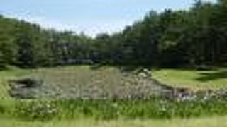 市民の森がメイン、かな。