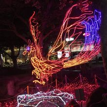 フェニックスのイルミネーション