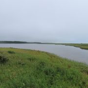 渡り鳥の通過ルートで貴重な観察地