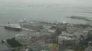 大きなコスモクロックを下に見る