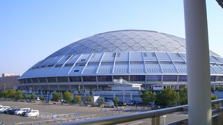 ライブは迫力があって面白い