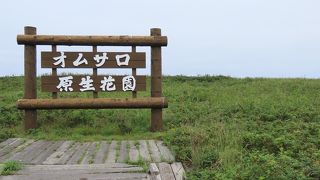 流氷岬の標柱があります