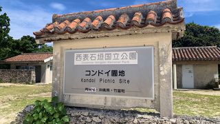 猫パラダイス！