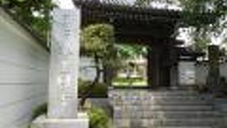 存在感のあるイチョウの木