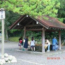 ここで手を清めて