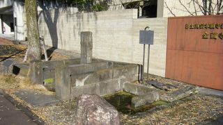 都内で湧き水とは珍しいですね