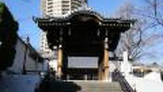 大変立派な山門