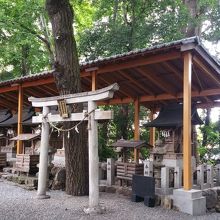 蚊が多い摂社末社エリア