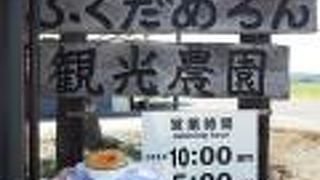 安くて美味しいメロン！