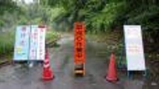 2019年の台風被害で、現在は滝には行けず。林道も車両通行禁止で入口まで1.5キロ歩き。