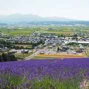 丘の上からの景色が綺麗