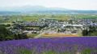 丘の上からの景色が綺麗