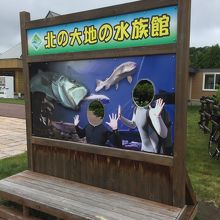 入口
