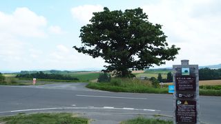 周りの景色が綺麗