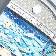 ウェイティング中に見える建物