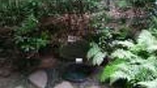 清正井があります