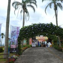 道の駅マンゴーになってました。