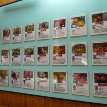 農試事務棟にて